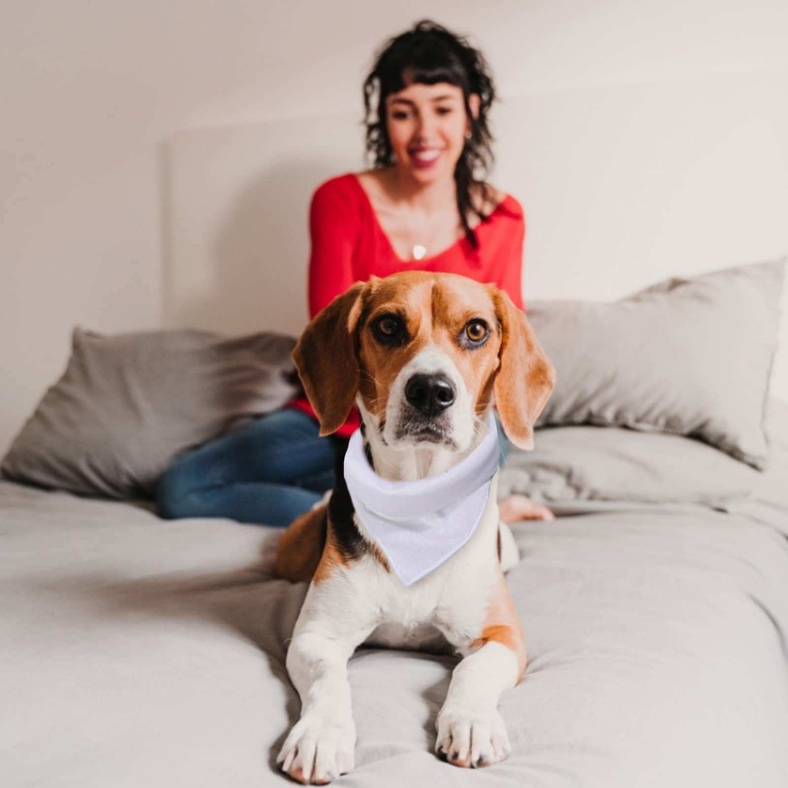 HACRAHO Blanco hondenbandana, 12 stuks effen hondenslabbetjes polyester hond vierkante sjaal blanco doe-het-zelf katten bandana's voor kleine middelgrote en grote honden en katten, wit