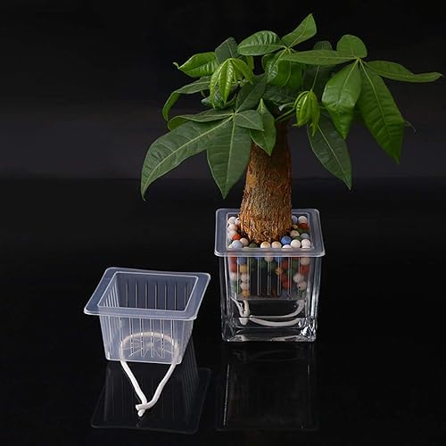 Miniatura 3 de Yardwe 10 macetas cuadradas de 4 pulgadas de plástico hidropónico para suministros hidropónicos con cuerda de algodón (blanco)