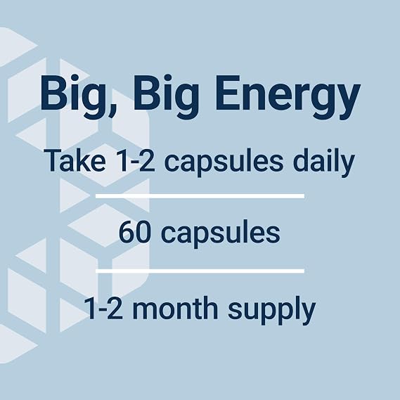 Life Extension Super R-Lipoic Acid Healthy Aging, oxidative Stress Defense with 240 mg of Active R-Form of R-Lipoic Acid Gluten-Free Non-GMO Vegetarian 60 Capsules
