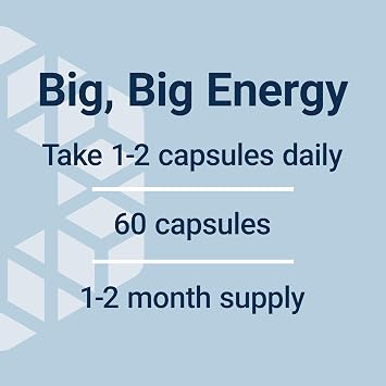 Life Extension Super R-Lipoic Acid Healthy Aging, oxidative Stress Defense with 240 mg of Active R-Form of R-Lipoic Acid Gluten-Free Non-GMO Vegetarian 60 Capsules