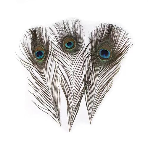 10Pcs Natural Peacock Feathers In Bulk 10-12 Inches (25-30Cm) For Diy Craft Vase Wedding Family Party Christmas Day Decoration #TOP6
