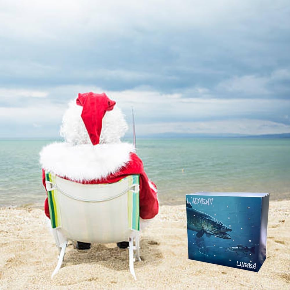 Boîte surprise de poissons de Noël 2024, appât surprise de 24 jours, kit d'équipement de pêche, calendrier de l'Avent, festival, cadeau, appât (brochet)