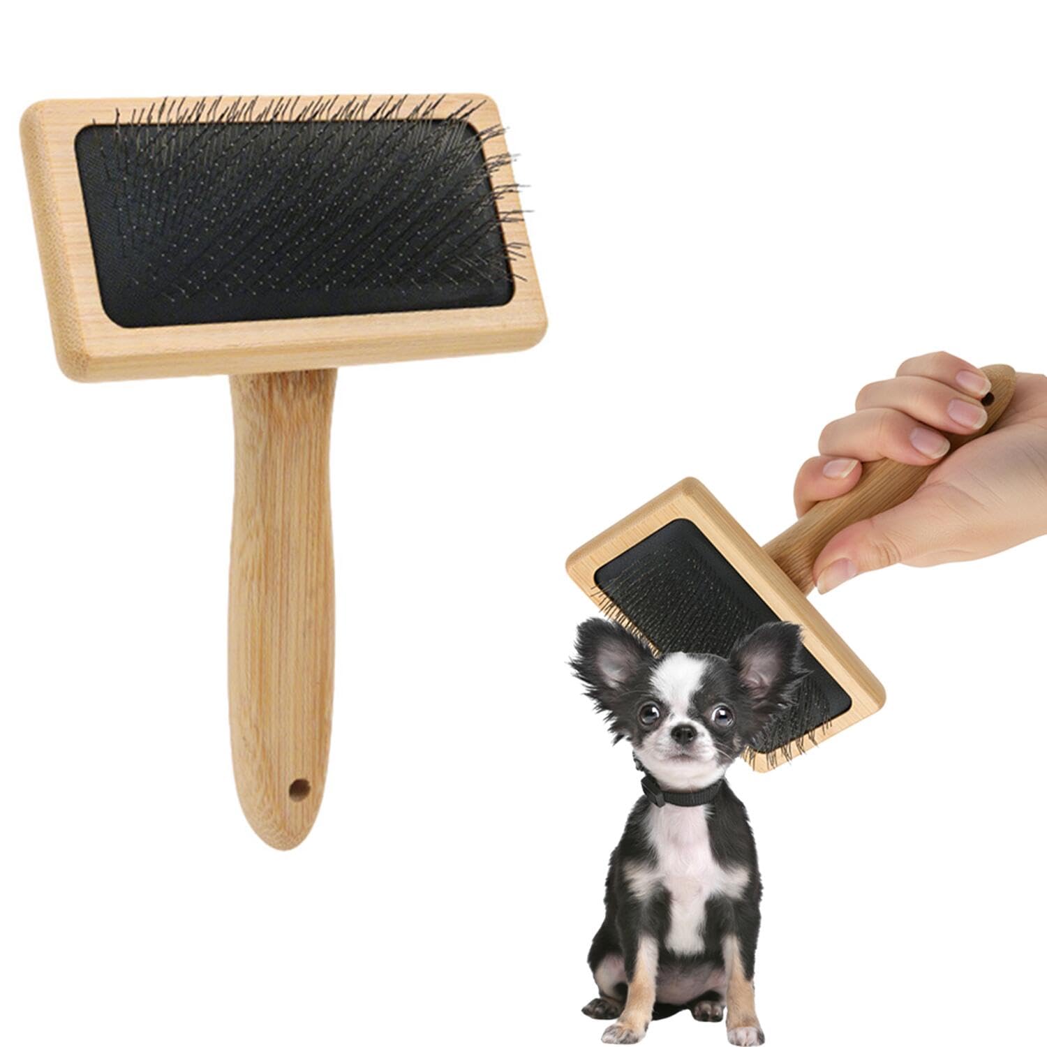 Amazon.co.jp: Lifetips ロングコートチワワ犬 ロンチワ ペット用