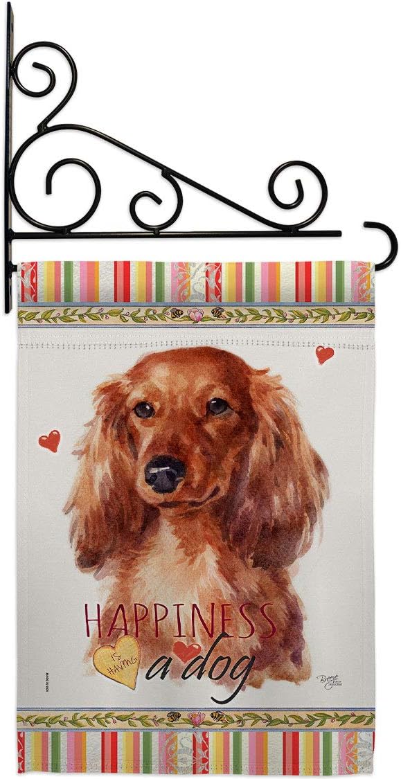 Long Hair Dachshund Happiness Garden Flag Set Wall Holder Animals Dog Puppy Spoiled Paw Canine Fur Pet Nature Farm Animal Creature Small Gift Yard House Banner Double-Sided Made In USA 13 X 18.5