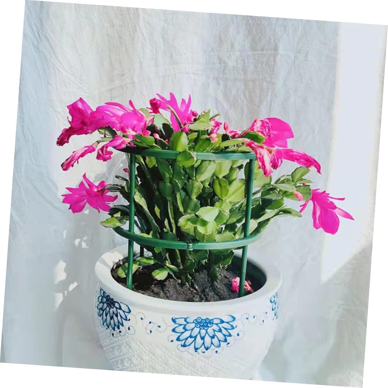 Kisangel 30pcs Garden Trellis Plant Support Sticks for Climbing Tomatoes Roses Morning Glories