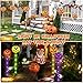 Set of 8 Halloween Pumpkin Pathway Lights Outdoor, Pumpkin Lights for Halloween Outdoor Porch Yard Decorations
