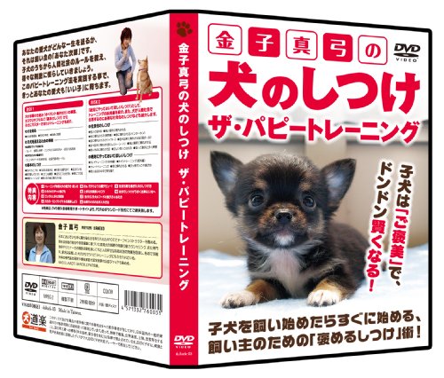 Amazon Com 金子真弓の犬のしつけ ザ パピートレーニング Dvd Movies Tv