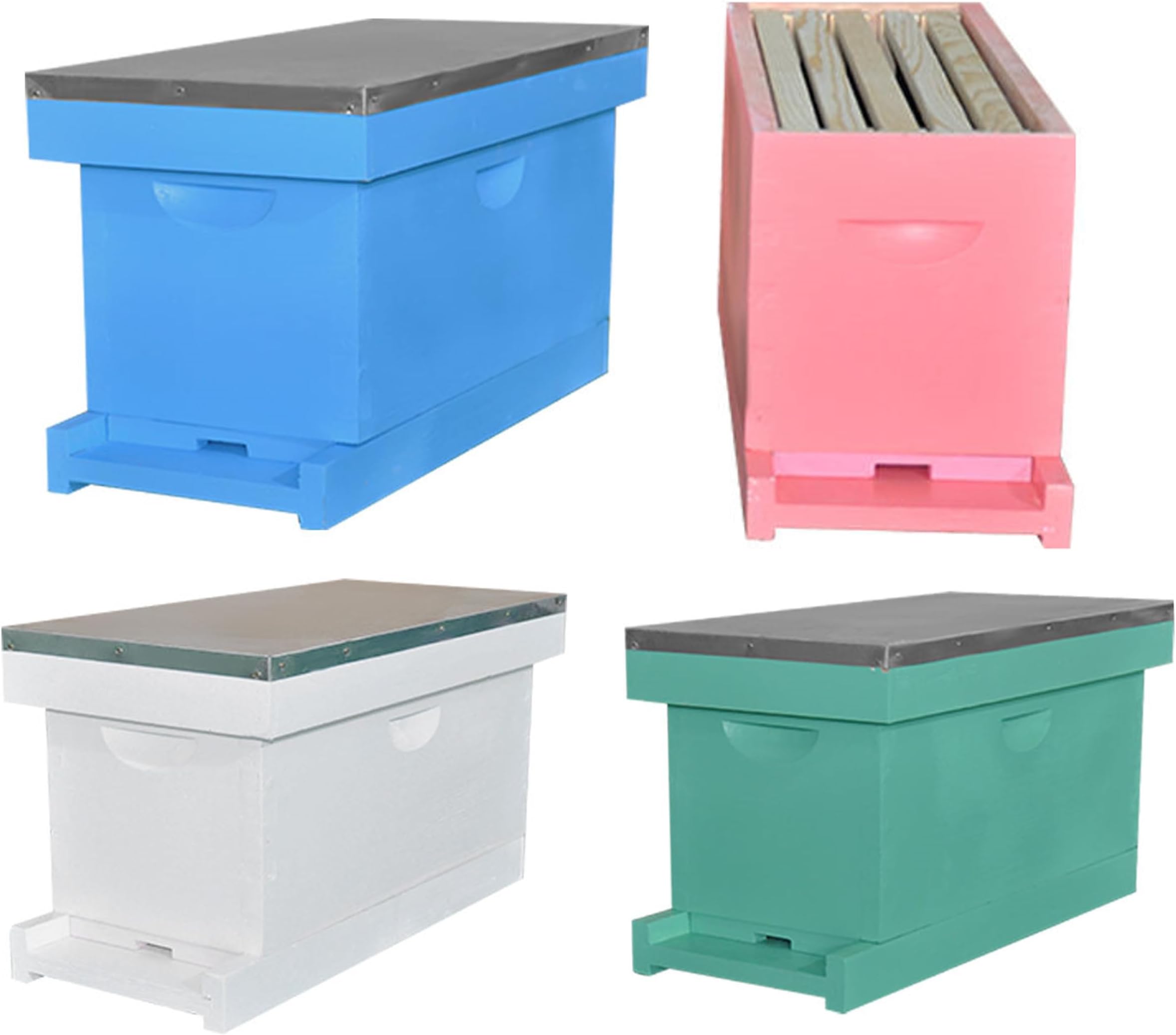 Complete 5 Frame Bee Nuc Box Painted with Waxed Foundation Frames (White)
