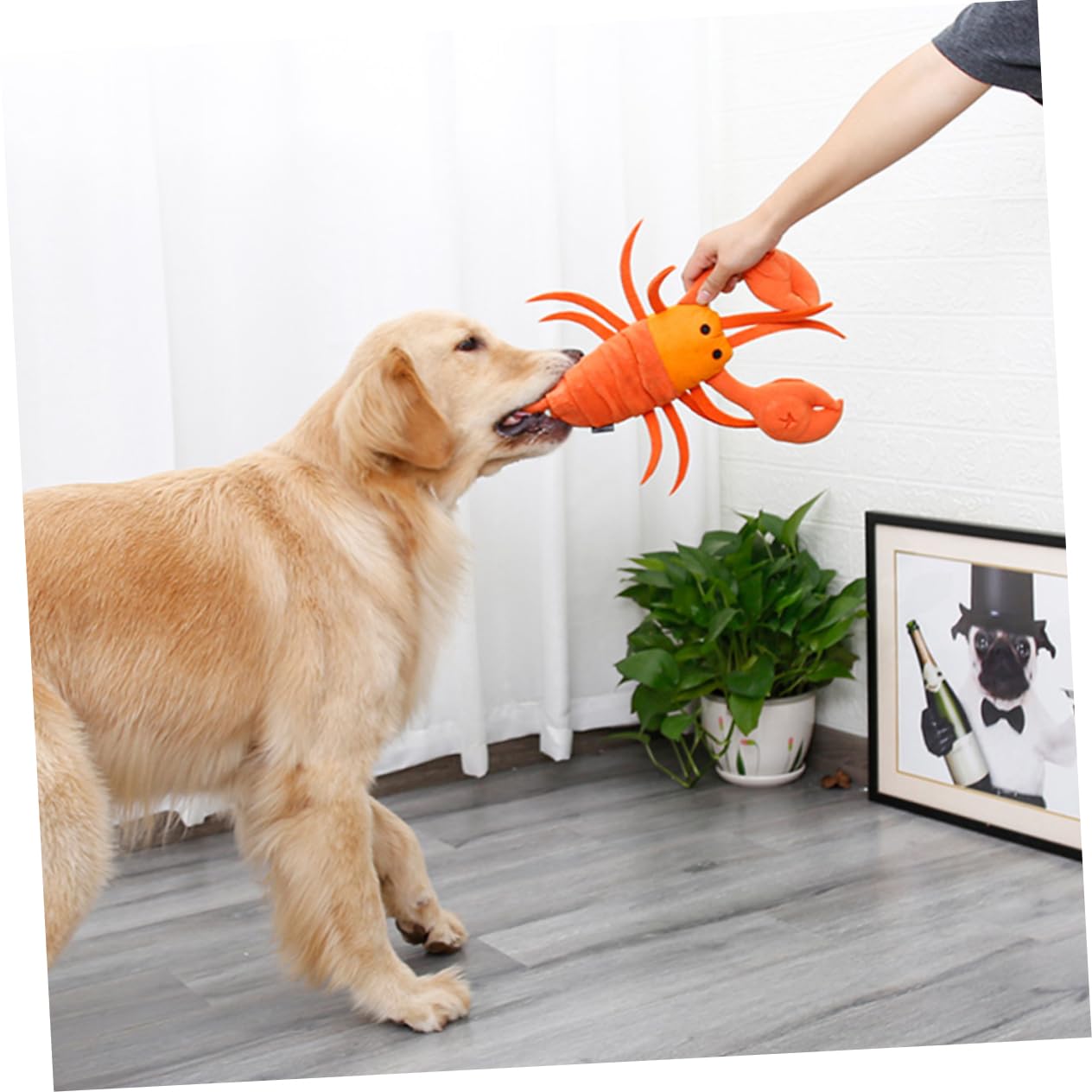 Angoily 3stücke Pet Snuffle Toy Für Hunde Cartoon-Lobster Design Interaktive Futter Und Trainingsmatte Fördert Langsames Fressen Und Schnüffelspiel Für Tägliche Beschäftigung Und
