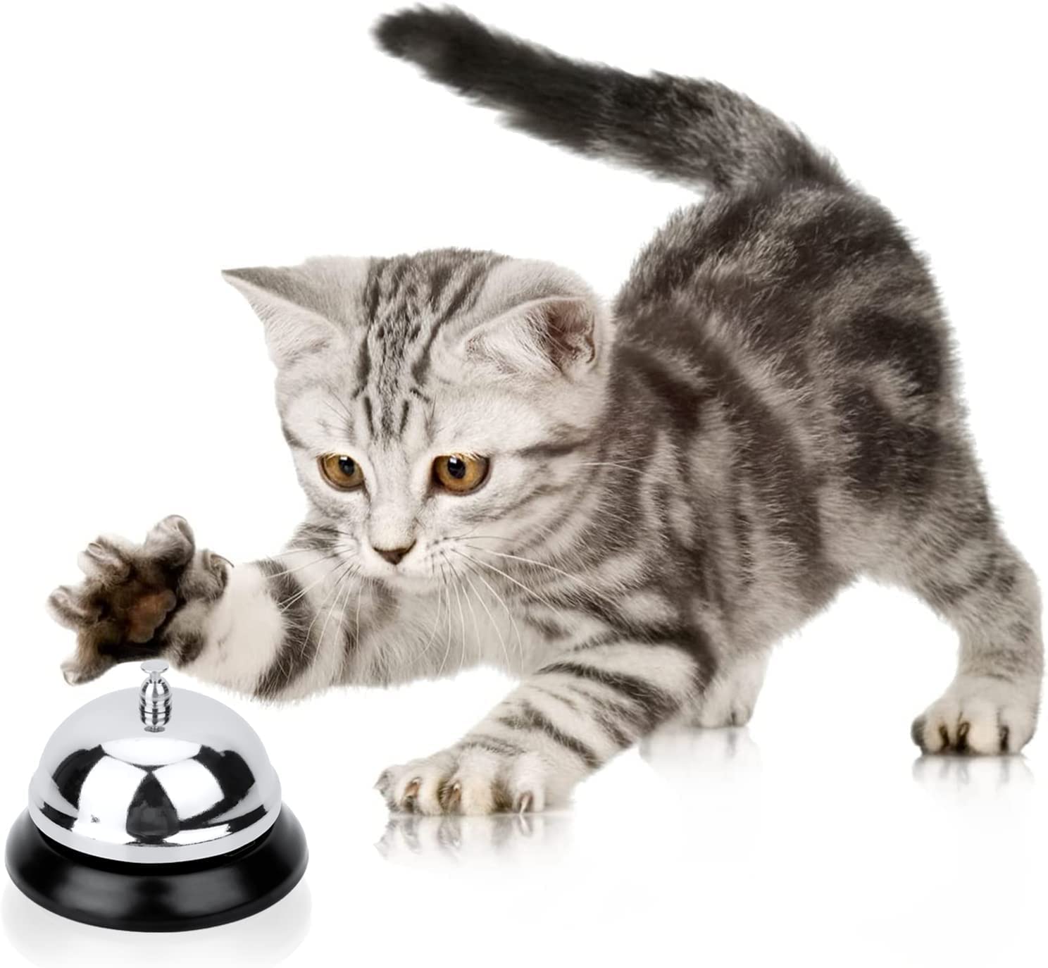 SCHUBERT Call Bell Front Desk Silver Metal Ringing Service Bell, for Hotels, Offices, Pet Dog Training, Schools, Reception, Restaurants, Warehouses, Elderly and Kids Hospitals. 1PC 4