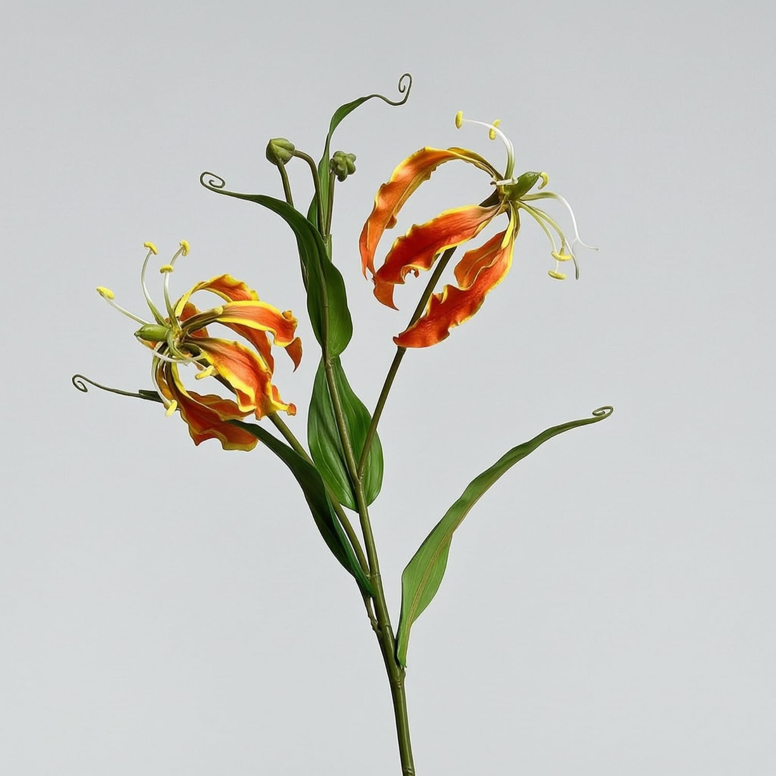 Gloriosa Kletterlilie Künstlich Stiel Blüte Zweig Zierpflanze Weichplastik Naturgetreue Struktur Elegante Linien für Zimmerdekor Traualtar Bankett Fotoprojekt Hoheglasvase, Orange