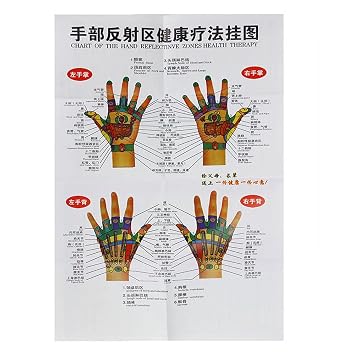 Practice Hand, Hand Meridian Acupuncture Points Acupoint Map Chart Massage Treatment Practice Tool