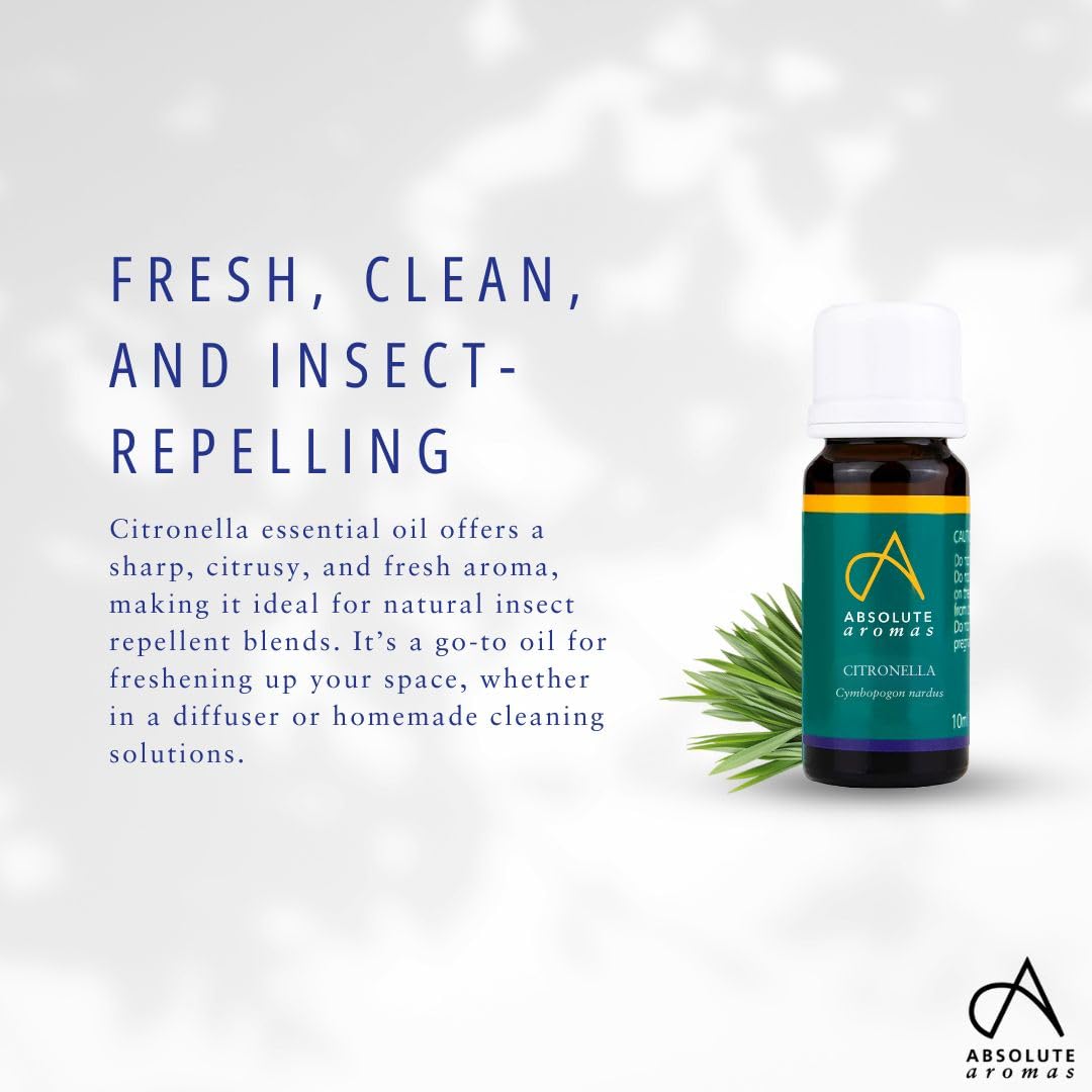 Absolute Aromas Citronella Essential Oil 30ml - 100% Pure, Natural, Undiluted, Vegan and Cruelty-Free - for use in Diffusers and Aromatherapy Blends