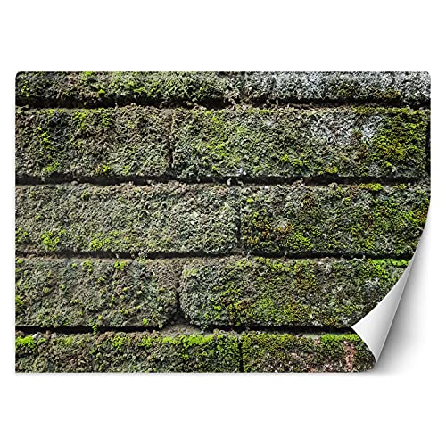 Feeby Carta Da Parati Struttura Mattone Imitazione 350x245 cm verde Fotomurale Tessuto Non Tessuto Per Casa Ufficio Camera Da Letto Gabinetto Soggiorno Vecchio Mattone Muschio Modello