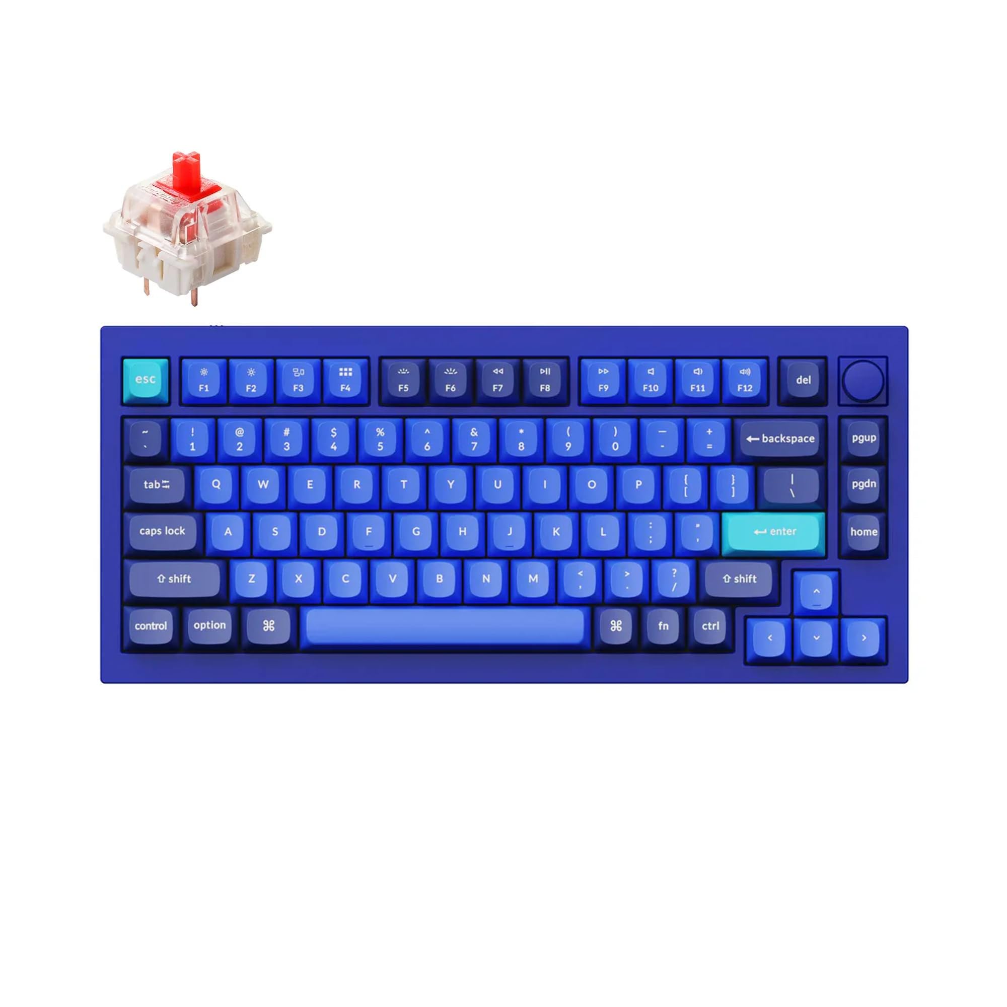 Keychron Q1 RGB Wired Custom Mechanical Keyboard, 75% Layout RGB Backlight with Hot-swappable Gateron G Pro Red Switch Double Gasket Compatible with Mac Windows Linux (Blue) -Version 2