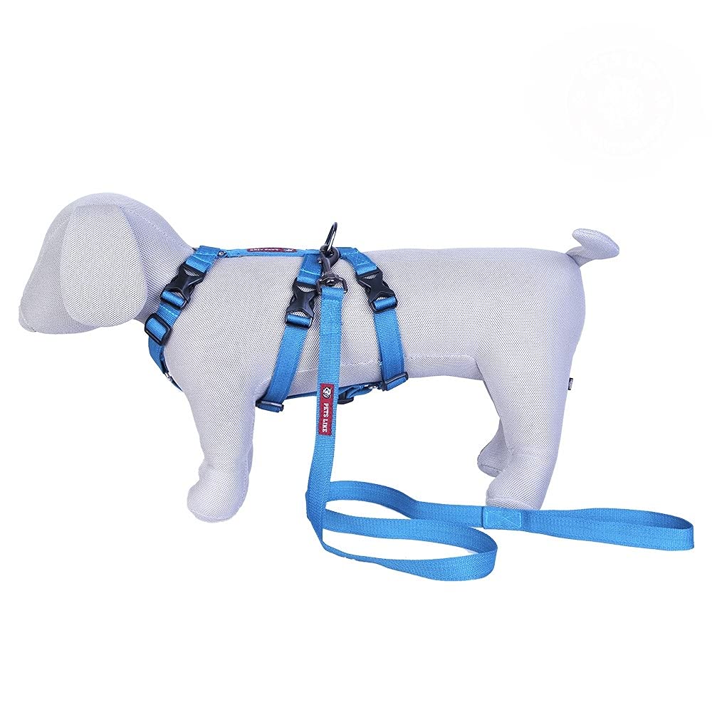 Pets Like Double H Harness with Leash Set Sky Blue (Medium)