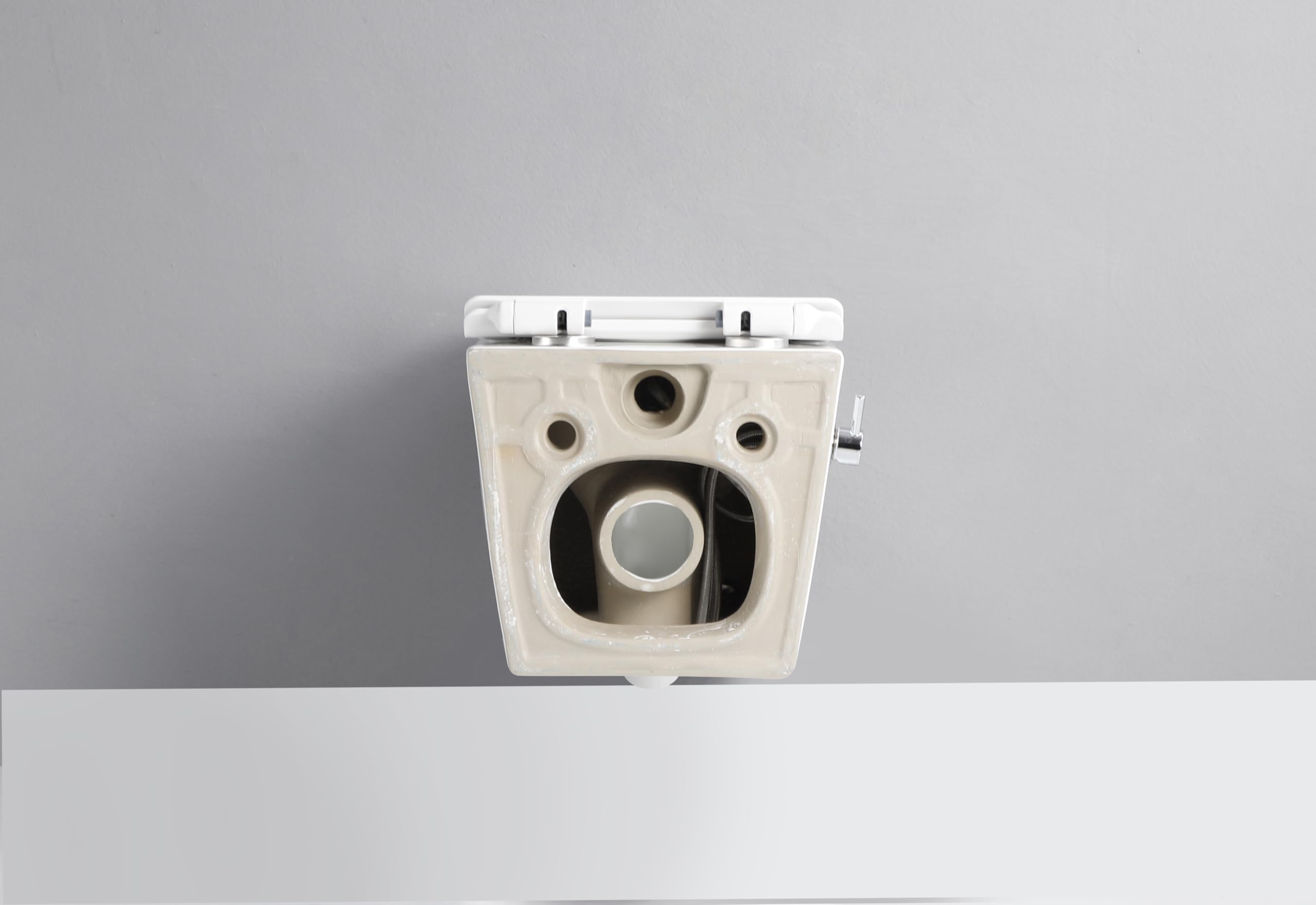 Taharet Dusch WC inkl. Armatur und Soft-Close Sitz