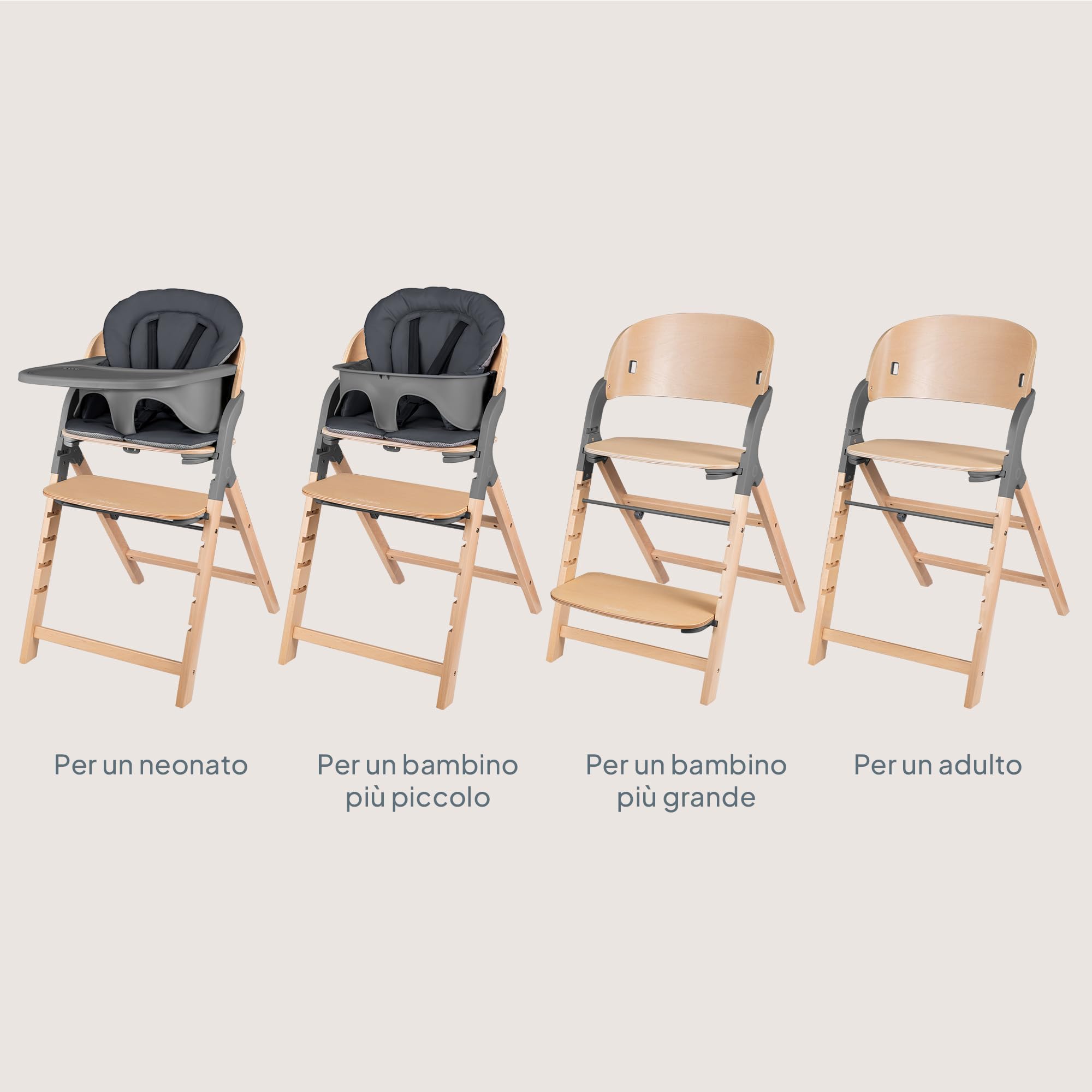 LIONELO Megan Seggiolone Pappa in Legno per Bambini da 6 Mesi e Adulti | Evolutivo fino a 110 kg, Poggiapiedi Regolabile, Cinture a 5 Punti, Cuscino per Seduta e Facile da Pulire
