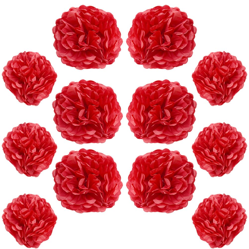 Ruidee Lot de 12 pompons en papier de soie à suspendre de 25,4 cm et 30,5 cm pour décoration de fête, mariage (ZH/noir