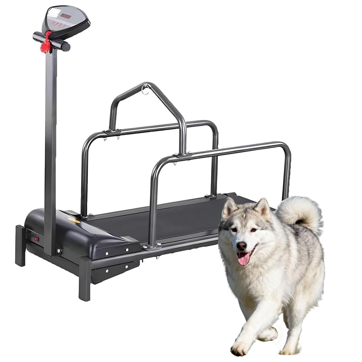 Fitness-Laufband für Haustiere, Hundelaufband, leiser Motor und einstellbare Geschwindigkeiten, mit Sicherheitszaun, Hundelaufband für große Hunde, Hundelaufband für mittelgroße Hunde