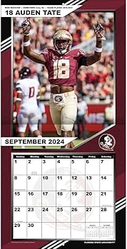 florida eyaleti seminoles futbolu 2023