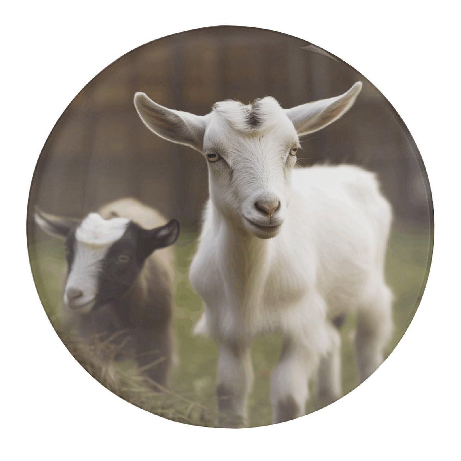 Amazon.co.jp: 冷蔵庫ガラスステッカー、かわいいヤギのプリント