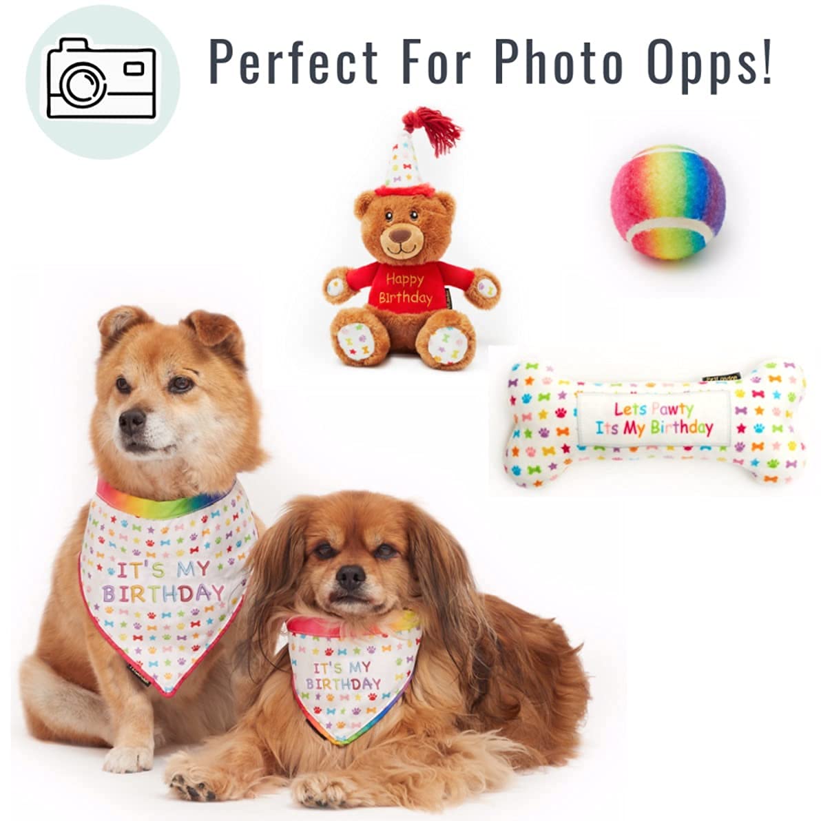Hunde-Geburtstagsgeschenkbox – 6-teiliges Set Mit Spielzeug, Mütze & Bandana Für Die Perfekte Feier