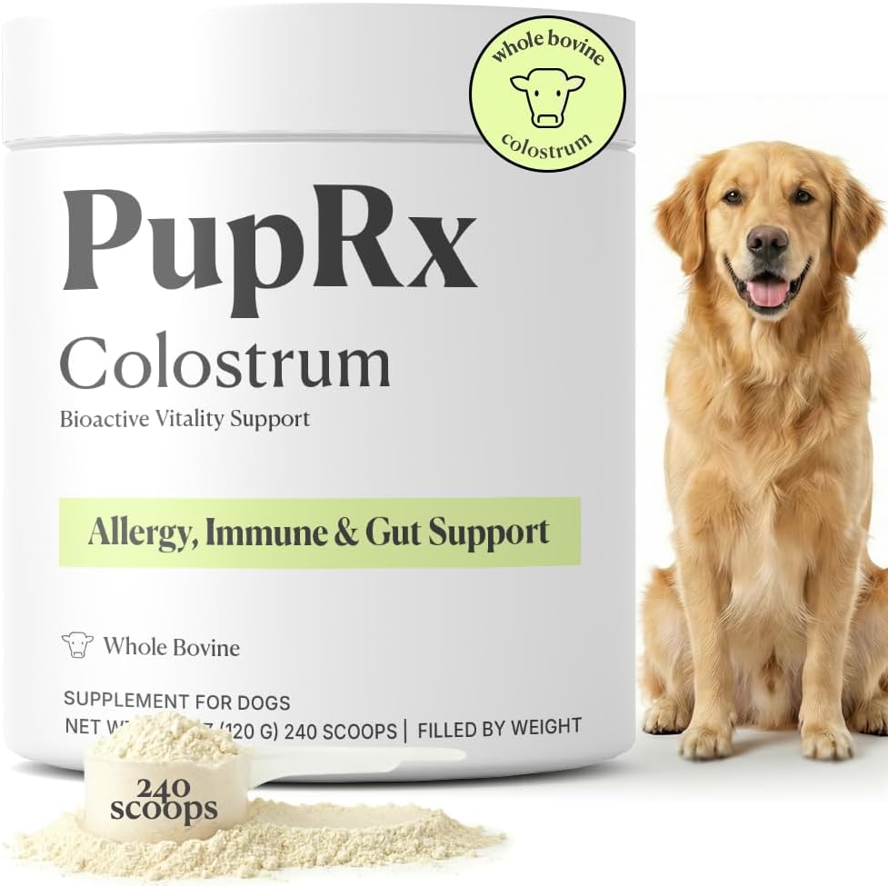 Colostrum for Dogs - 25% IgG Whole Bovine Colostrum Powder Supports Immune & Gut - Digestive Health, Allergy, Skin & Itch Relief - No Fillers, Grass-Fed USA Sourced – 120g (~240 Scoops)
