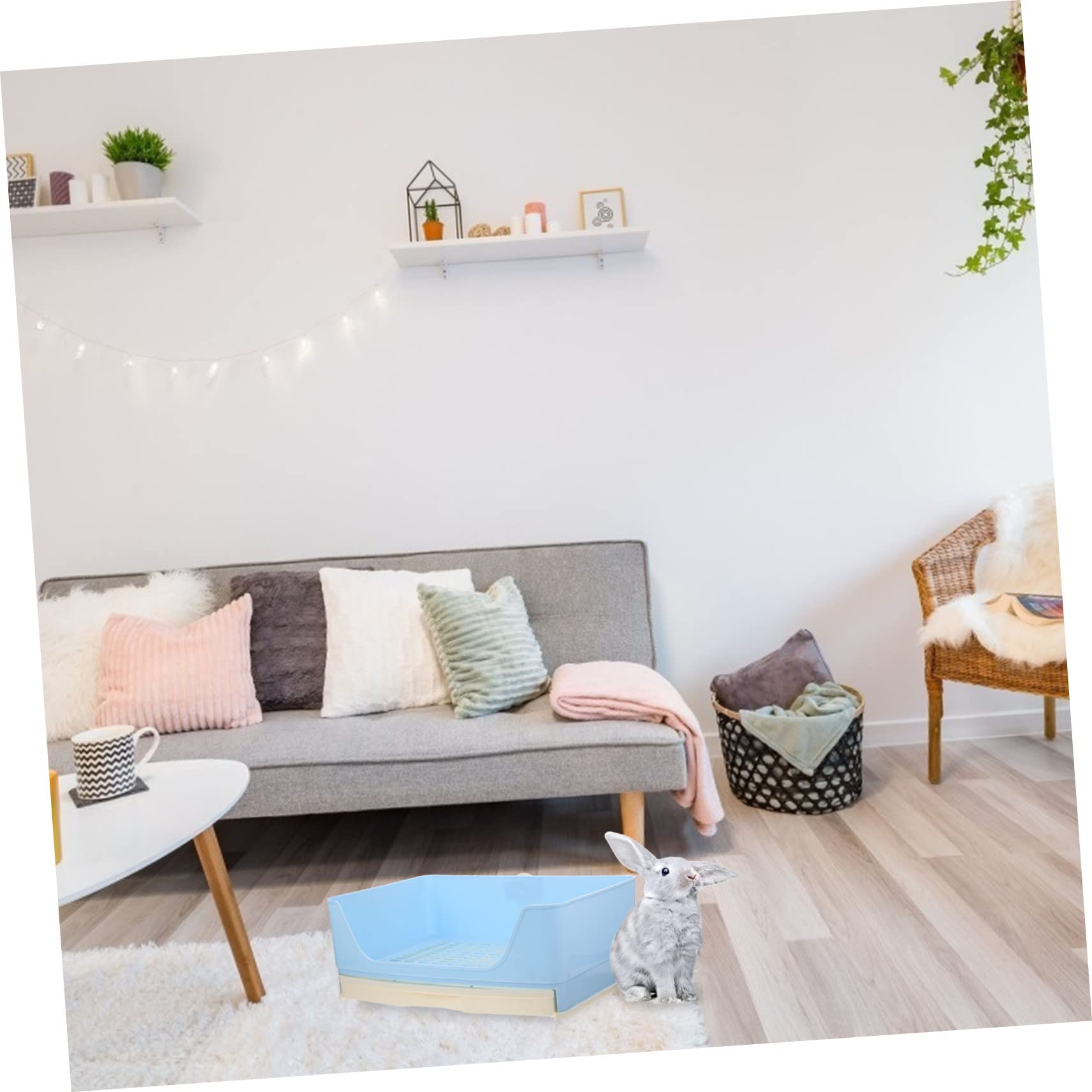 VANZACK Haushaltskaninchentoilette aus Kunststoff mit Geruchskontrolle und Auslaufsicher für Meerschweinchen und Chinchillas im Wohnzimmer und Park