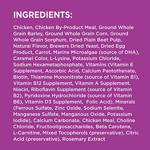 IAMS Healthy Aging Adult Dry Dog Food for Mature and Senior Dogs with