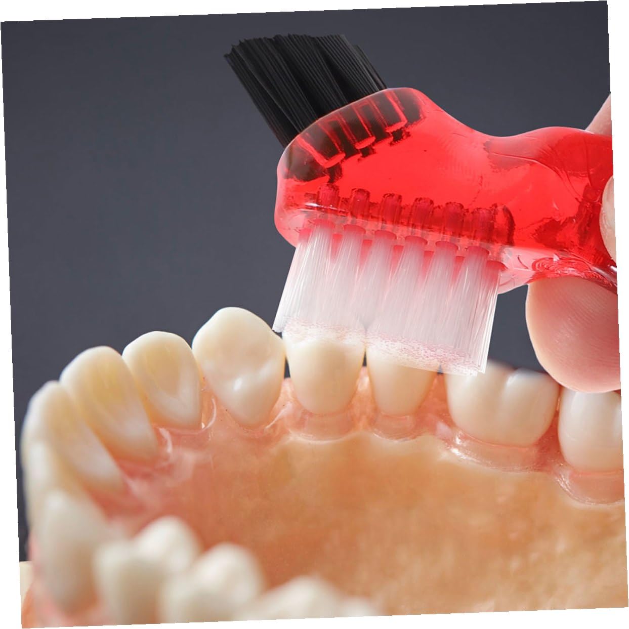 Set 3 Pezzi Spazzolino per Dentiera Piccolo Multifunzionale Doppia Faccia in Materiale Durevole Portatile per la Pulizia Domestica e l'Igiene Orale Personale