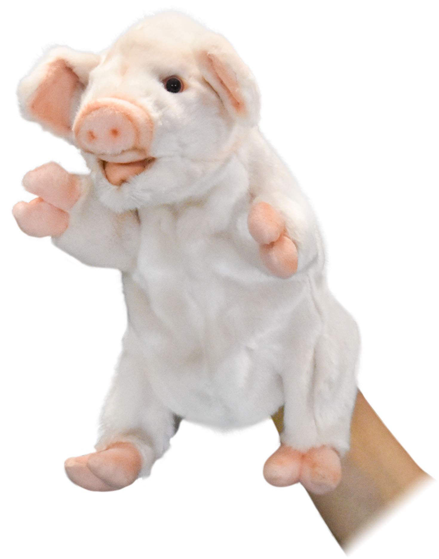 Hansa Animal