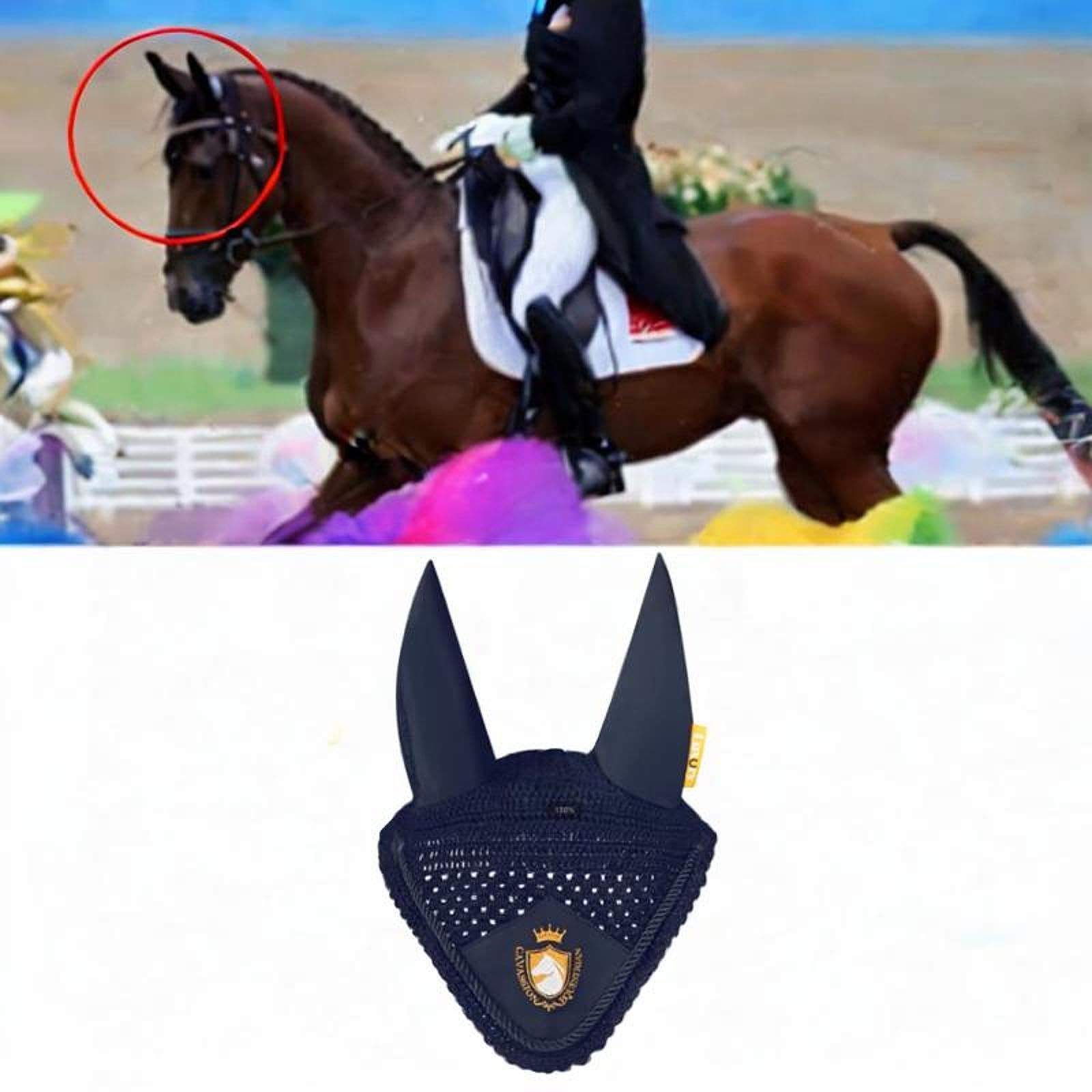 Bonnet Anti-Mouches pour Chevaux, Accessoire équestre Pratique, Marine