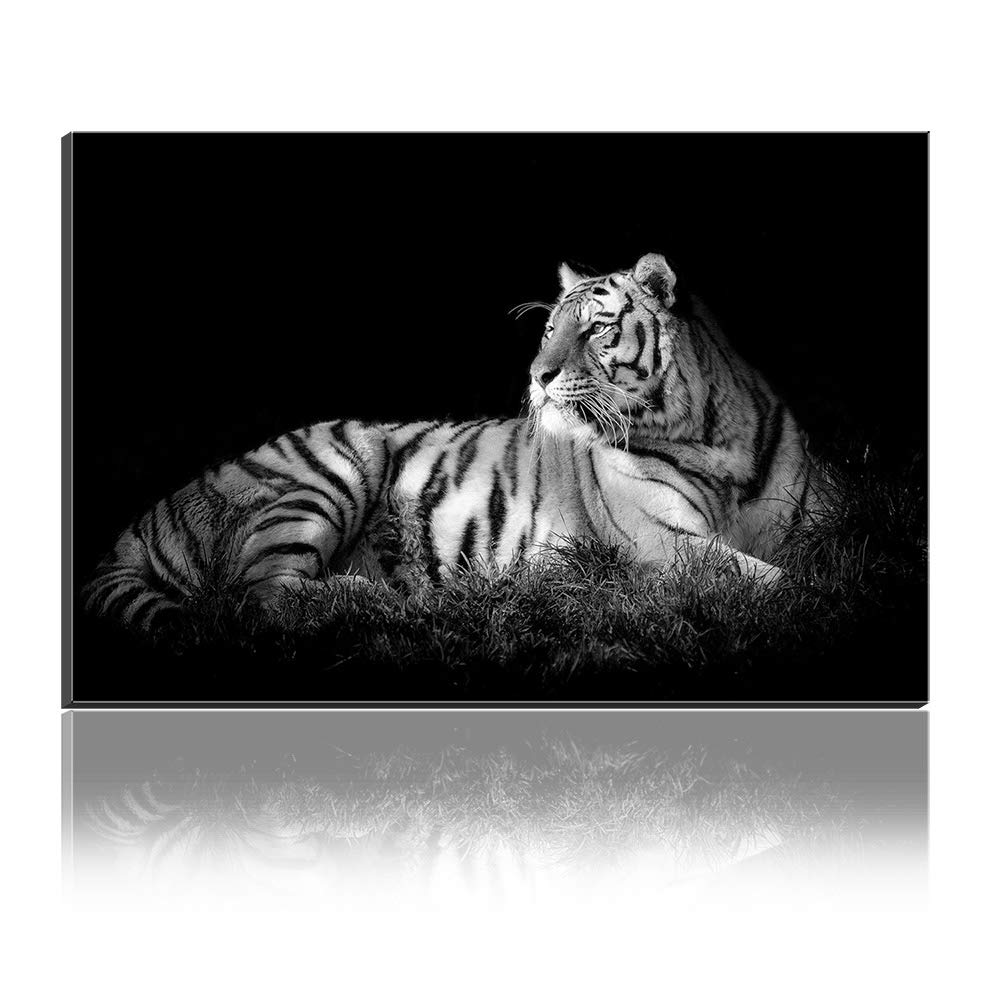 Toile tigre moderne sur fond noir 70x100 cm pour décoration murale