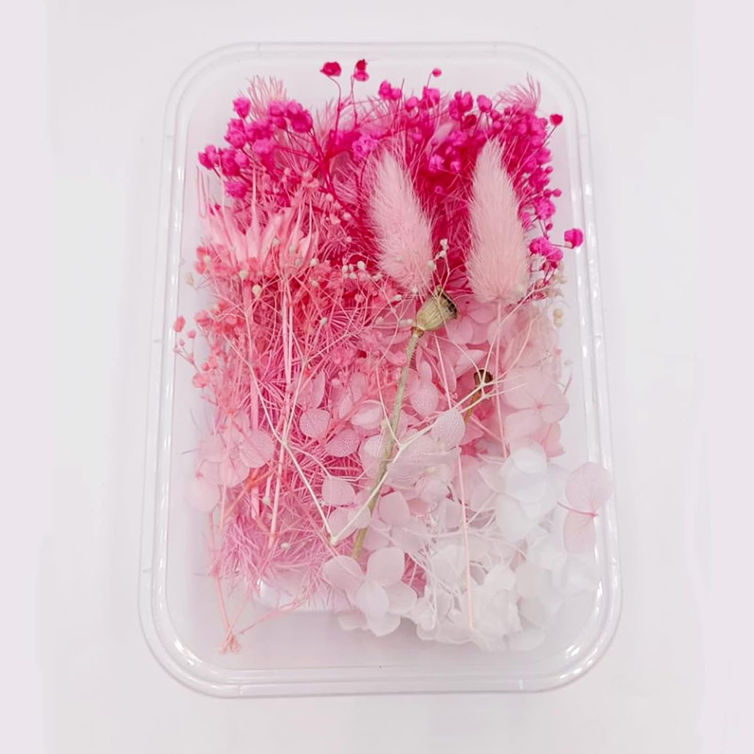 YiYFiT Natural Dried Flowers,8 Kinds Real Dried Flowers DIY Crafts