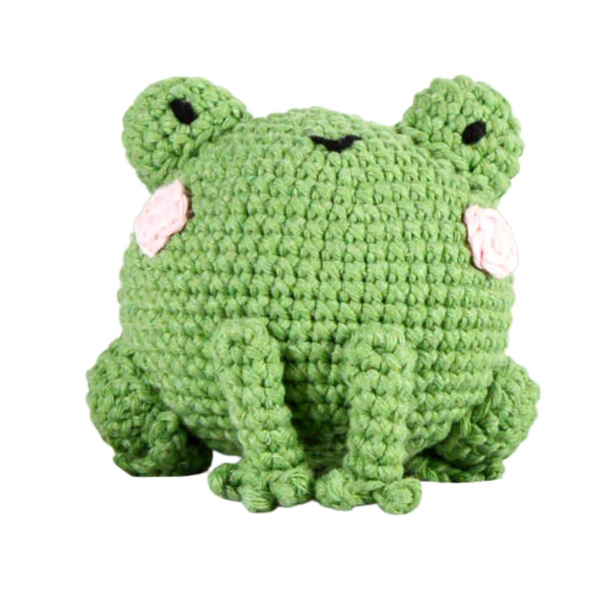 Knitty Critters – Pouch Pals Crochet Kit – Pickles The Frog| Beginner-Friendly Crochet Craft Kit with Recycled Yarn
