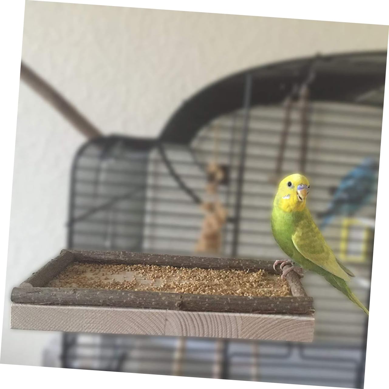 TOYANDONA 3 Piezas Perchas Naturales Para Pájaros Trampolín Percha De Loro Percha Plana Para Pájaros Perchas Para Loros Para Pájaros Grandes Parque De Aves De Madera Iniciar Sesión A Su