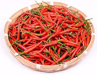 NO-GMO 80 Seeds, Extremely Hot Thai Bird Eye Chili Pepper Seeds Vegetable Gardening Seeds Heirloom Seeds
