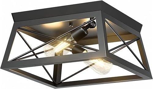 Pynsseu - Lámpara de techo de estilo industrial, 2 focos, lámpara de techo para cocina, para isla, comedor, dormitorio, vestíbulo, pasillo, 1