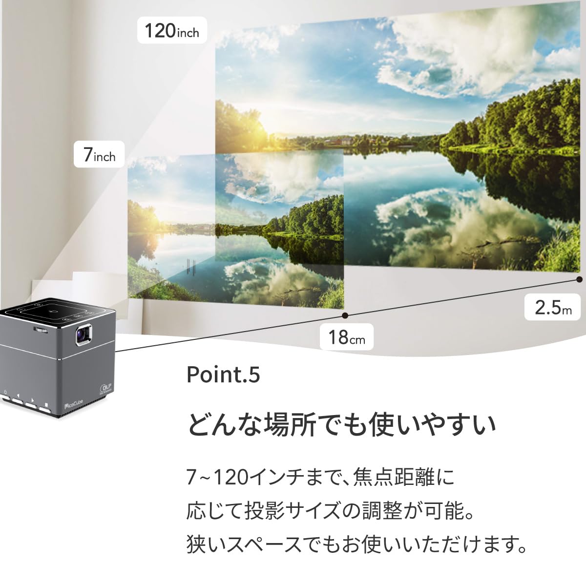Amazon.co.jp: ［フェリクロス］PicoCube plus ピコキューブプラス 