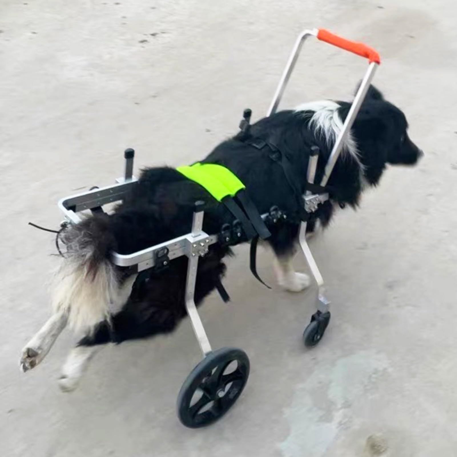 Silla de ruedas para perros ajustable: soporte para patas lesionadas