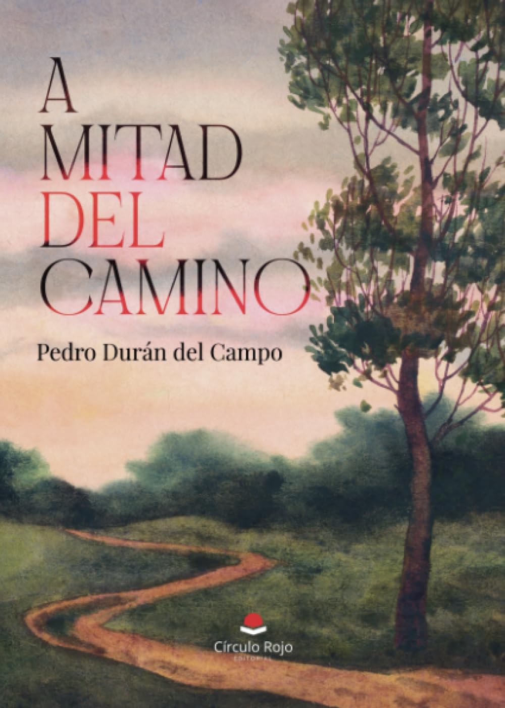 A mitad del camino