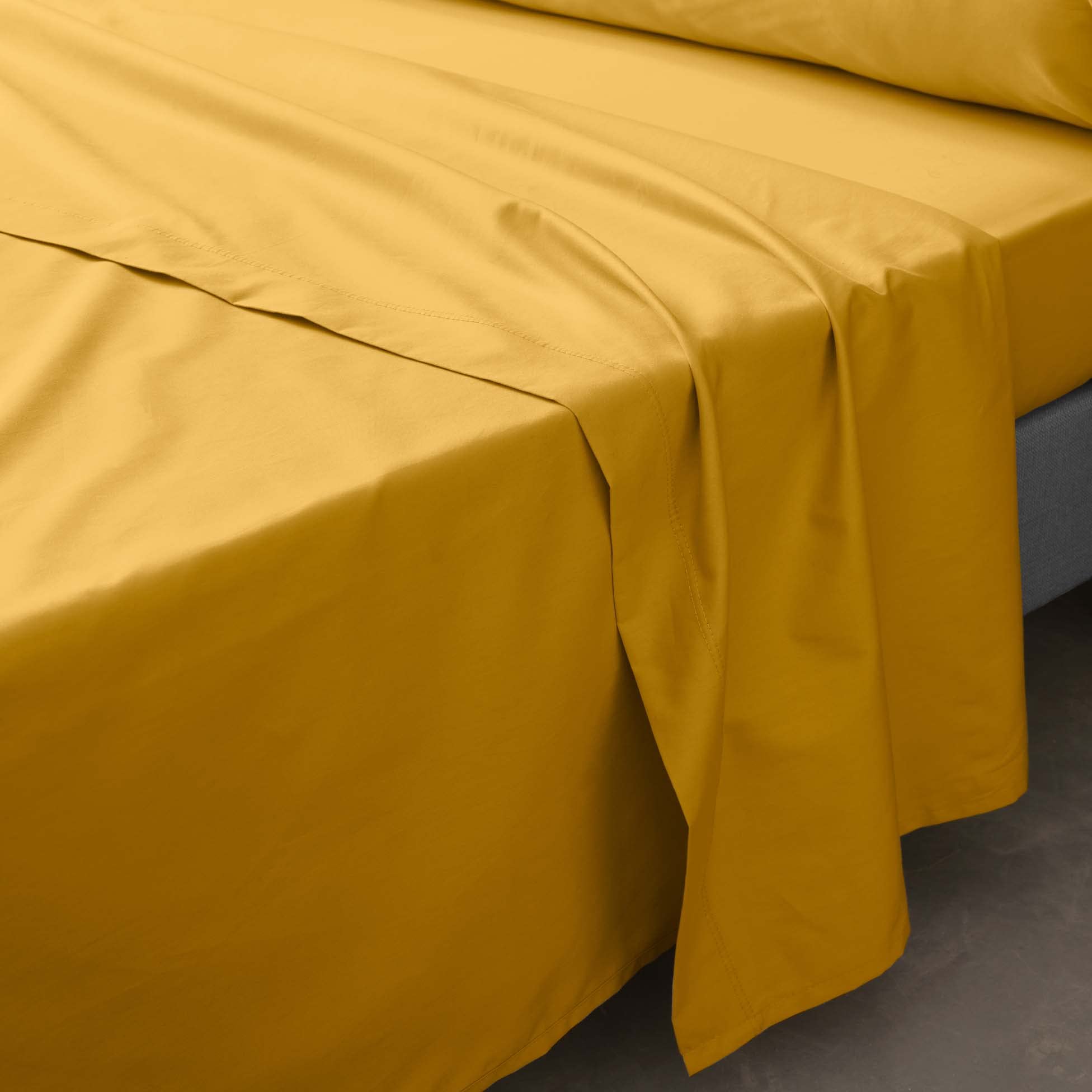 douceur d'intérieur, Percale Curry Cotton Percale Flat Sheet (240cm x 300cm), 240 x 300 cm - Image 3