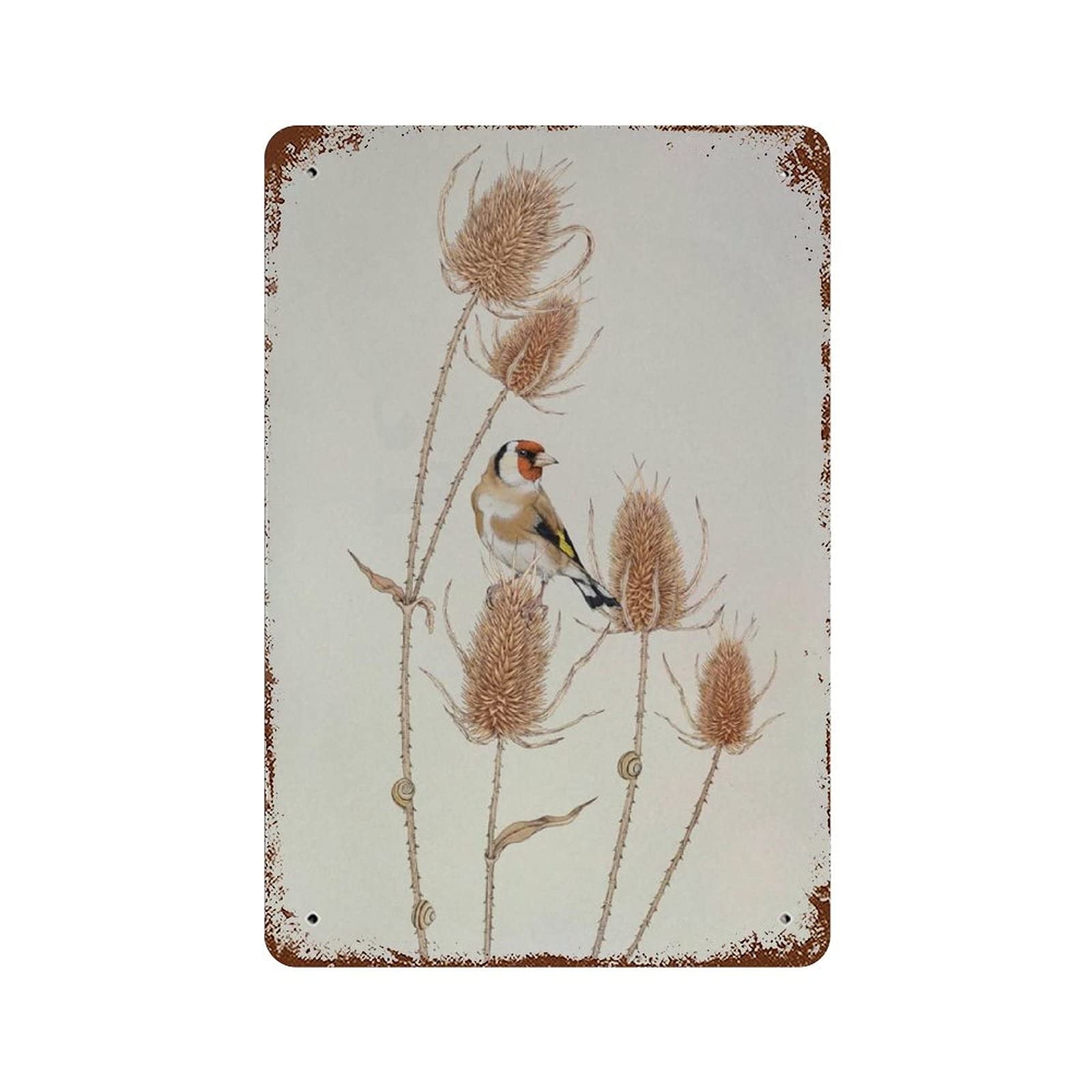 peiyeety Goldfinch On Teasels Bird Decor European Goldfinch Botanical Metal Tin Sign Wildlife Metal Tin Sign Stieglitz Bird Decor 8x5.5 Inch