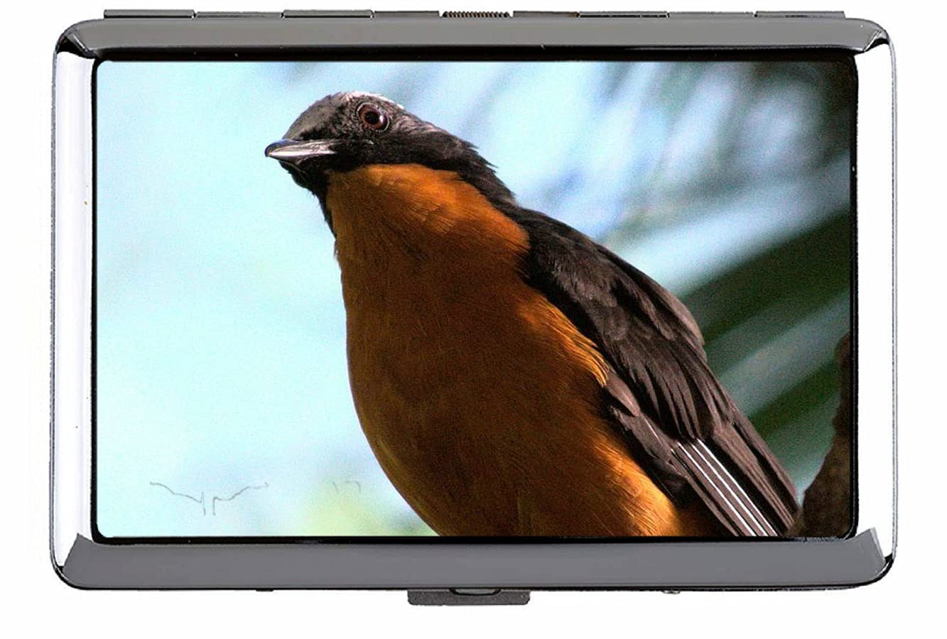 Cigarette Box Case,Redstart Bird Branch Business Card Case Slim Design Stainless Steel C150