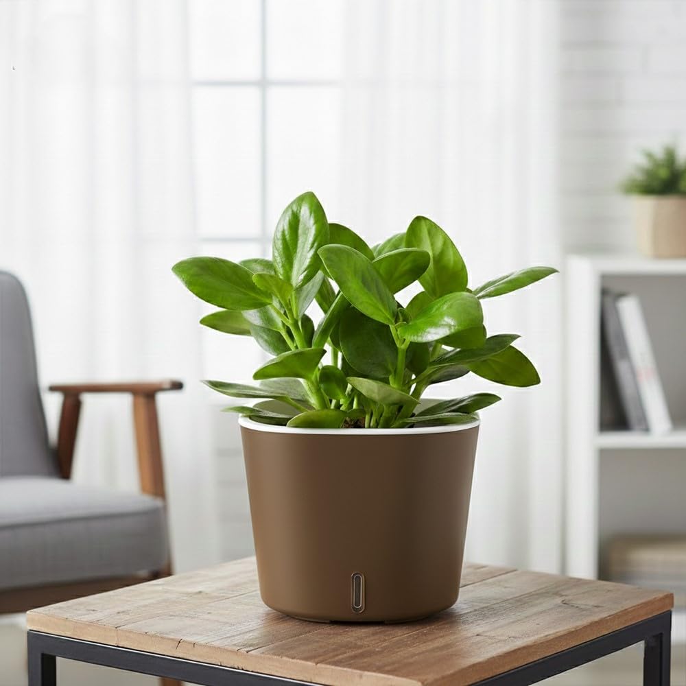 GARDENCIA Self Watering Pots - Modern Plant Cachepots -23 GARDENCIA Self Watering Pots - Modern Plant Cachepots -23