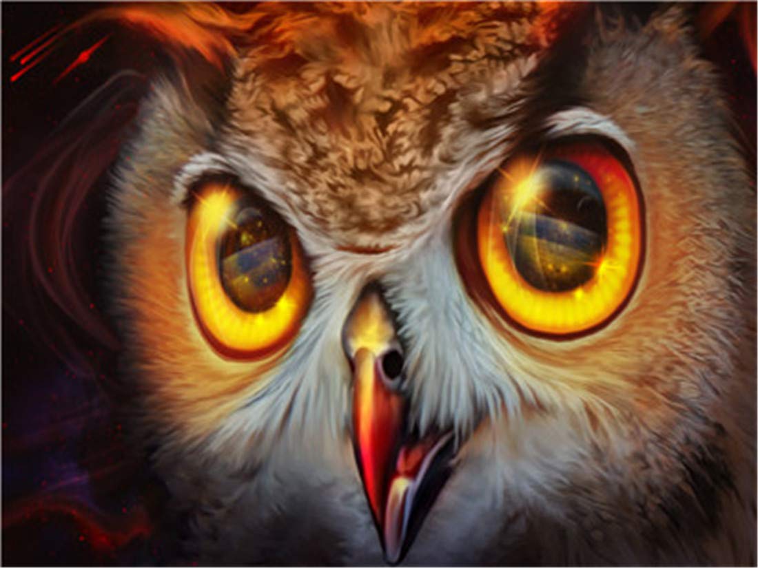 DIY Oil Painting Paint by Number Kit for Kids Adults Beginner 16x20 inch - Owl, Drawing with Brushes Christmas Decor Decorations Gifts (Frame)
