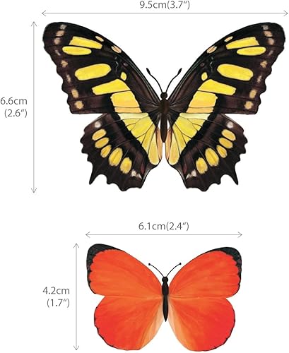 Miniatura 6 de Decowall Pegatinas de pared para niños con diseño de mariposas vivas y pegatinas de pared extraíbles para la habitación de los niños (1705 8025)