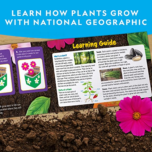 National Geographic Flower and Herb Garden Activity