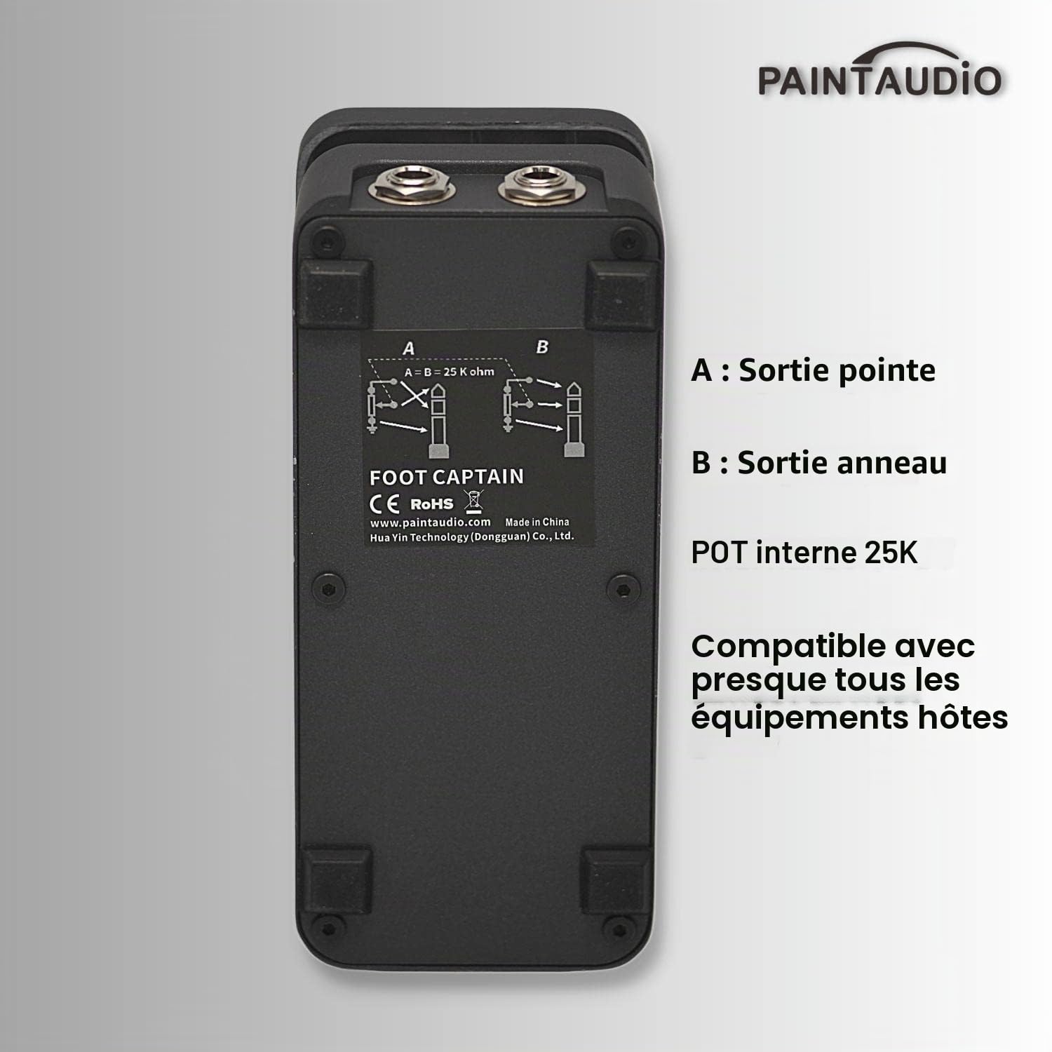 Paint Audio Foot Captain Pédale d'expression multi-effets compatible avec connexion pointe/anneau (Foot Captain)